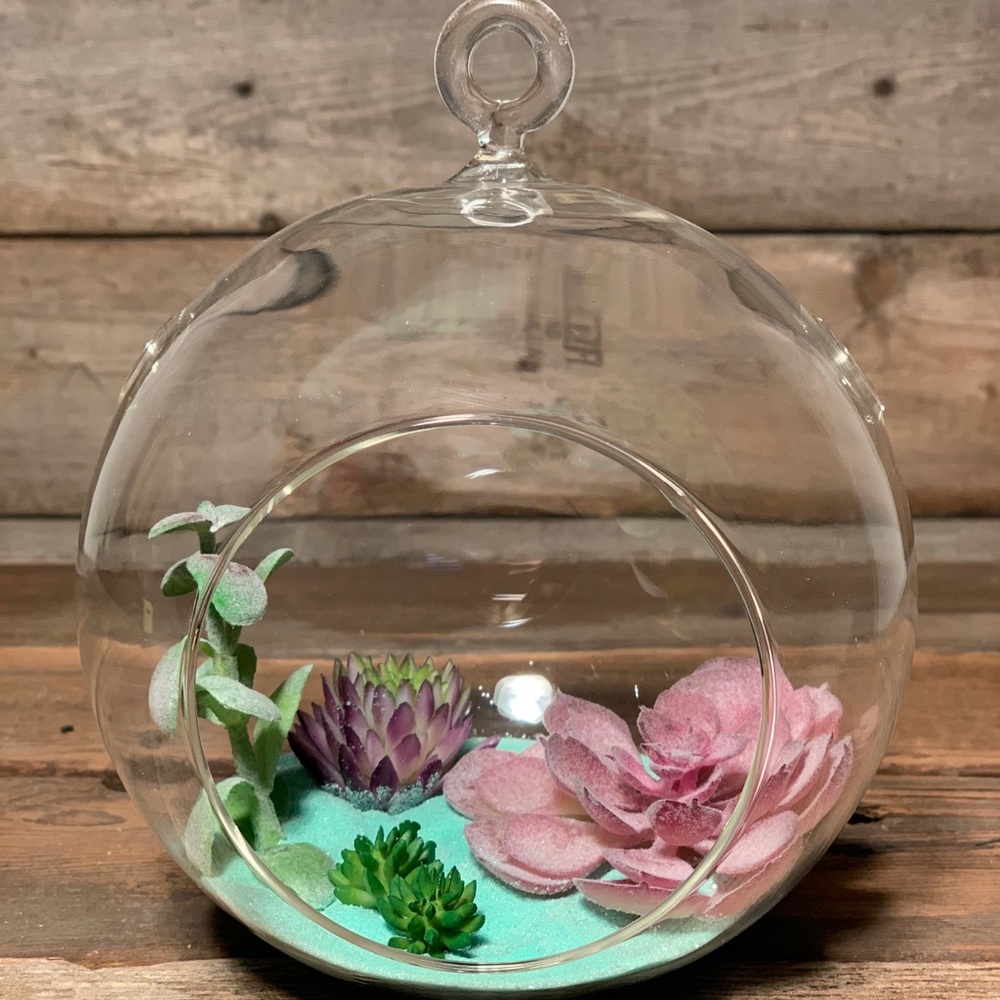 Terrariums!! - Picture 2 of 6